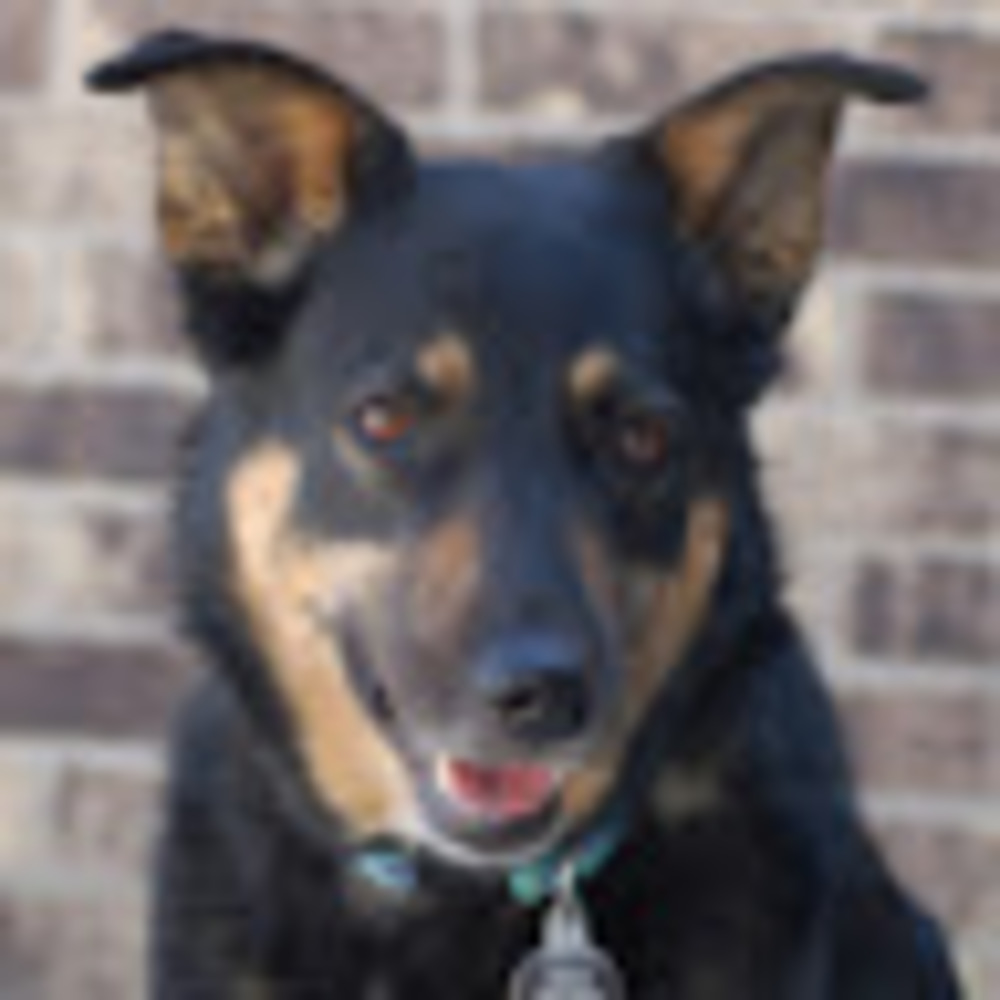 Meet your Posher, Joanna